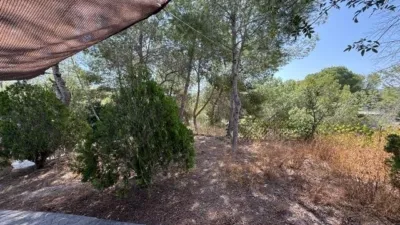 Chalet in El Esparragal photo 28