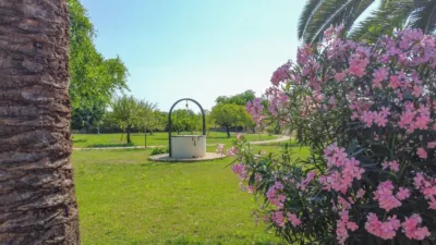Rustic Finca in Binissalem photo 14