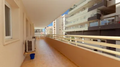 Apartment in Puerto Deportivo Area photo 3