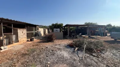Rustic Finca in La Fanecada photo 37