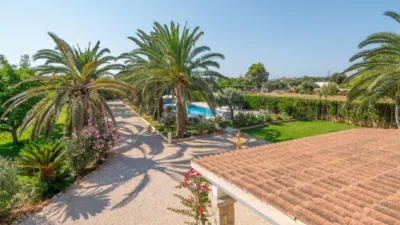 Rustic Finca in Binissalem photo 54
