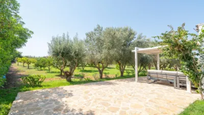 Rustic Finca in Binissalem photo 67