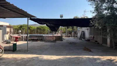 Rustic Finca in La Fanecada photo 40