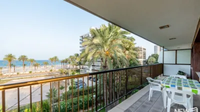 Piso – Alacant / Alicante, l'Alacantí - Vista 2