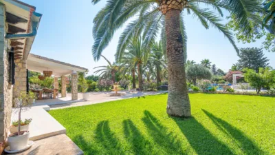Rustic Finca in Binissalem photo 58