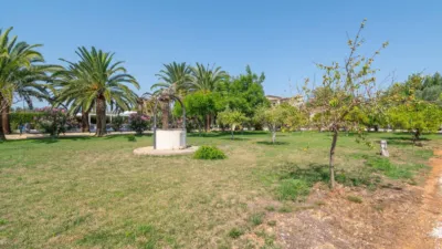 Rustic Finca in Binissalem photo 82