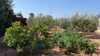 Rustic Finca in La Fanecada photo 44