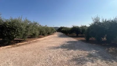 Rustic Finca in La Fanecada photo 2