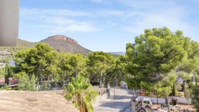 Chalet on Carrer Alboraya photo 18