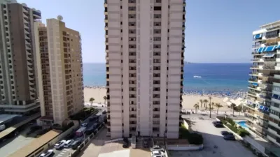 Apartment in Levante photo 5
