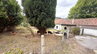 House on Calle Pando, No. 32 photo 3