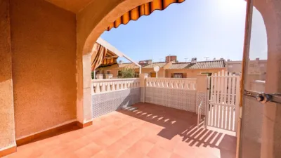 Casa – Elx - Elche - Vista 5