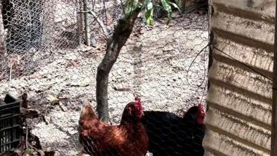 Rustic Finca in Vallehermoso