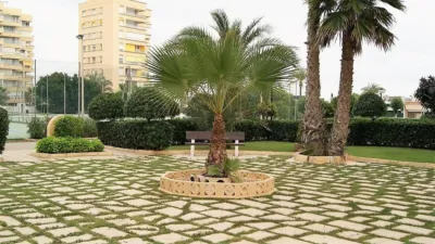 Apartamento en El Palmeral-Urbanova-Tabarca photo 20
