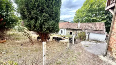 House on Calle Pando, No. 32 photo 5