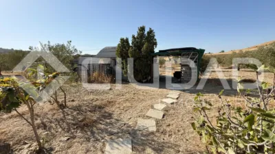 Rustic Finca in Andalucia photo 13