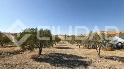 Rustic Finca in Andalucia photo 17