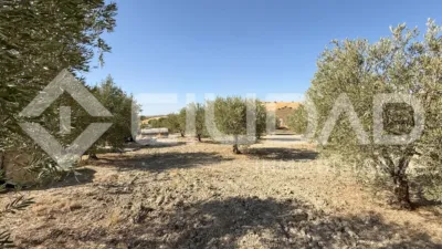 Rustic Finca in Andalucia photo 16