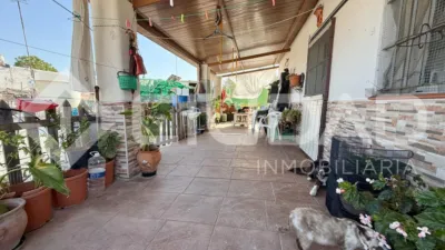 Rustic Finca in Andalucia photo 5