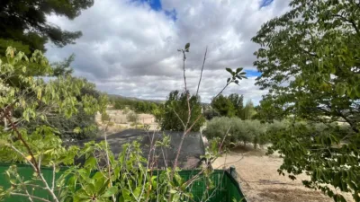 Rustic Finca on Calle Vial photo 20
