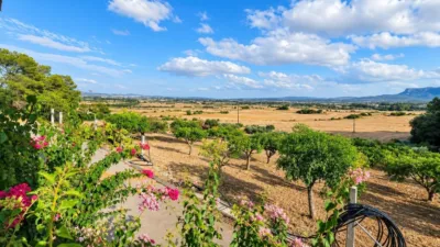 Rustic finca in Algaida Campo photo 23