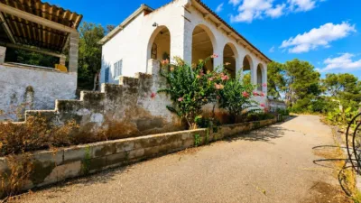 Rustic finca in Algaida Campo photo 4