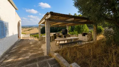Rustic finca in Algaida Campo photo 16