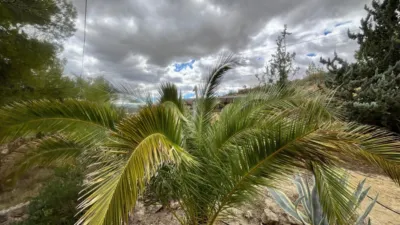 Rustic Finca on Calle Vial photo 58