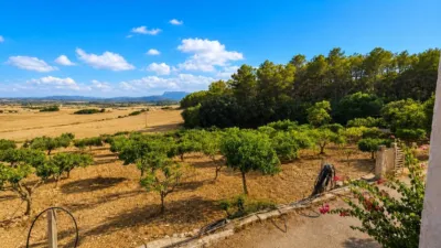Rustic finca in Algaida Campo photo 9