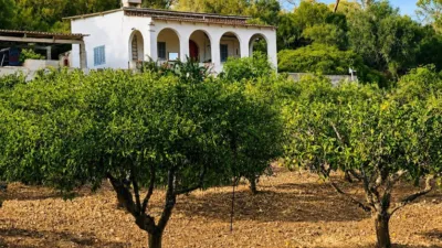 Rustic finca in Algaida Campo photo 3