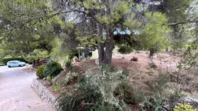 Rustic Finca on Calle Vial photo 56