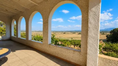 Rustic finca in Algaida Campo photo 11