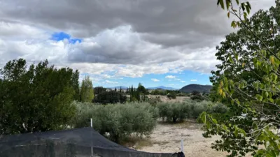 Rustic Finca on Calle Vial photo 11