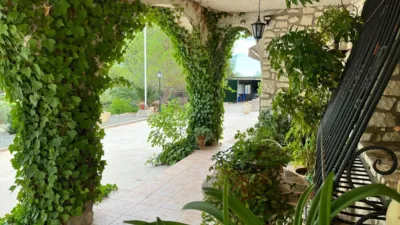 Rustic Finca on Calle Vial photo 24