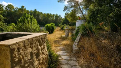 Rustic finca in Algaida Campo photo 15