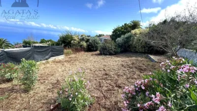 Rustic Finca in Tenerife North photo 18