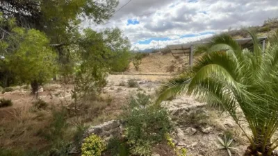 Rustic Finca on Calle Vial photo 55
