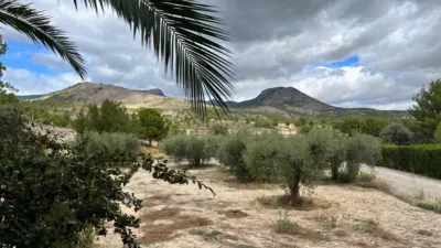 Rustic Finca on Calle Vial photo 3