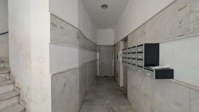 Apartment on Camelia Street (Nd) photo 2