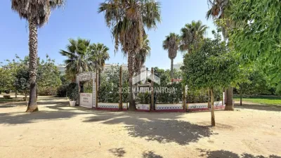 Piso en Avda. Caballero Bonald - San José Obrero - Guadalcacín photo 42