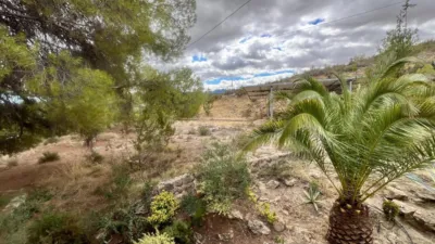 Rustic Finca on Calle Vial photo 57