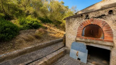 Rustic finca in Algaida Campo photo 17