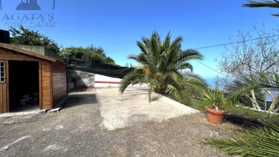 Rustic Finca in Tenerife North photo 17