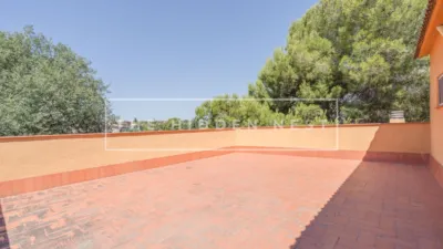 Chalet in Ca Navellaneda - Can Font photo 52