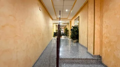 Pis – Torrevieja - Vista 5