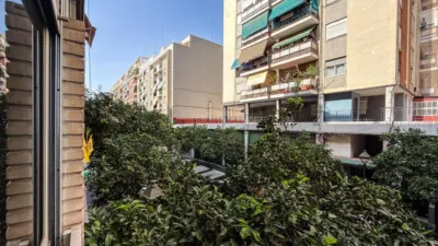 Apartment in Carrer de Higinio Noja 'Professor', 13 photo 8