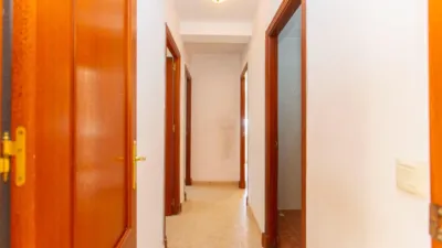 Apartment in Pago San José - Princi - Jerez photo 4