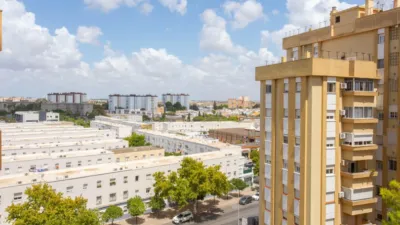 Apartment in Pago San José - Princi - Jerez photo 25