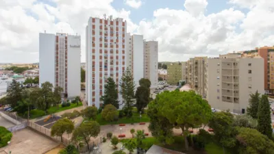 Apartment in Pago San José - Princi - Jerez photo 24
