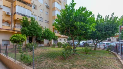 Apartment in Pago San José - Princi - Jerez photo 8